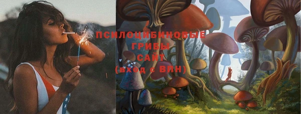 каннабис Ельня