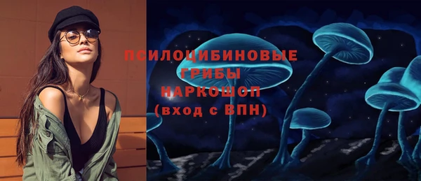 тгк Елизово