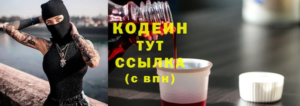 тгк Елизово