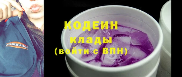 тгк Елизово