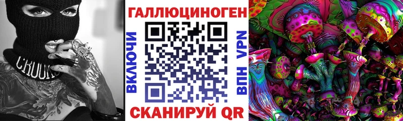 Купить где  Лакинск  Галлюциногенные грибы Cubensis 